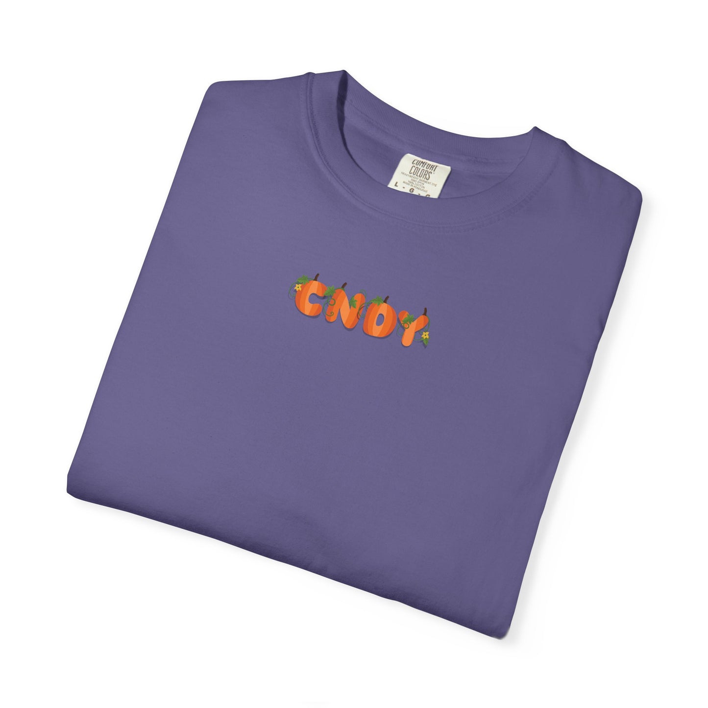 HEY, PUMPKIN (tee)