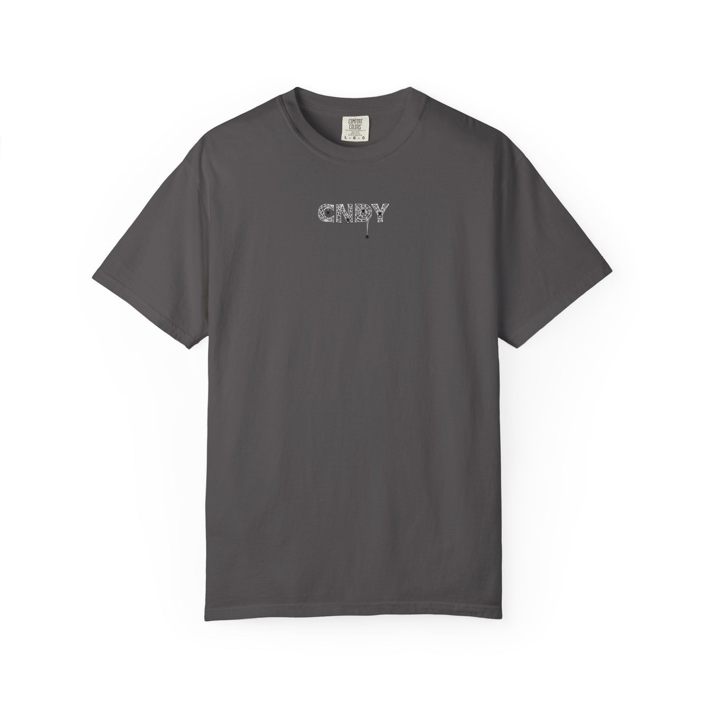 HANG IN THERE (tee)