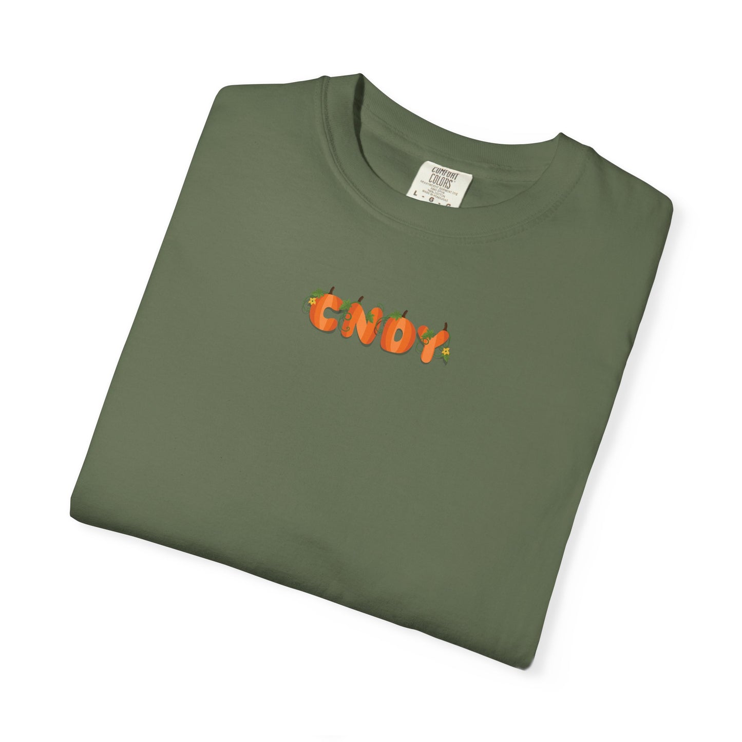 HEY, PUMPKIN (tee)