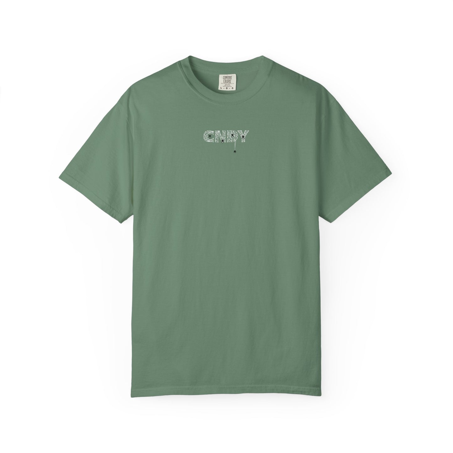 HANG IN THERE (tee)