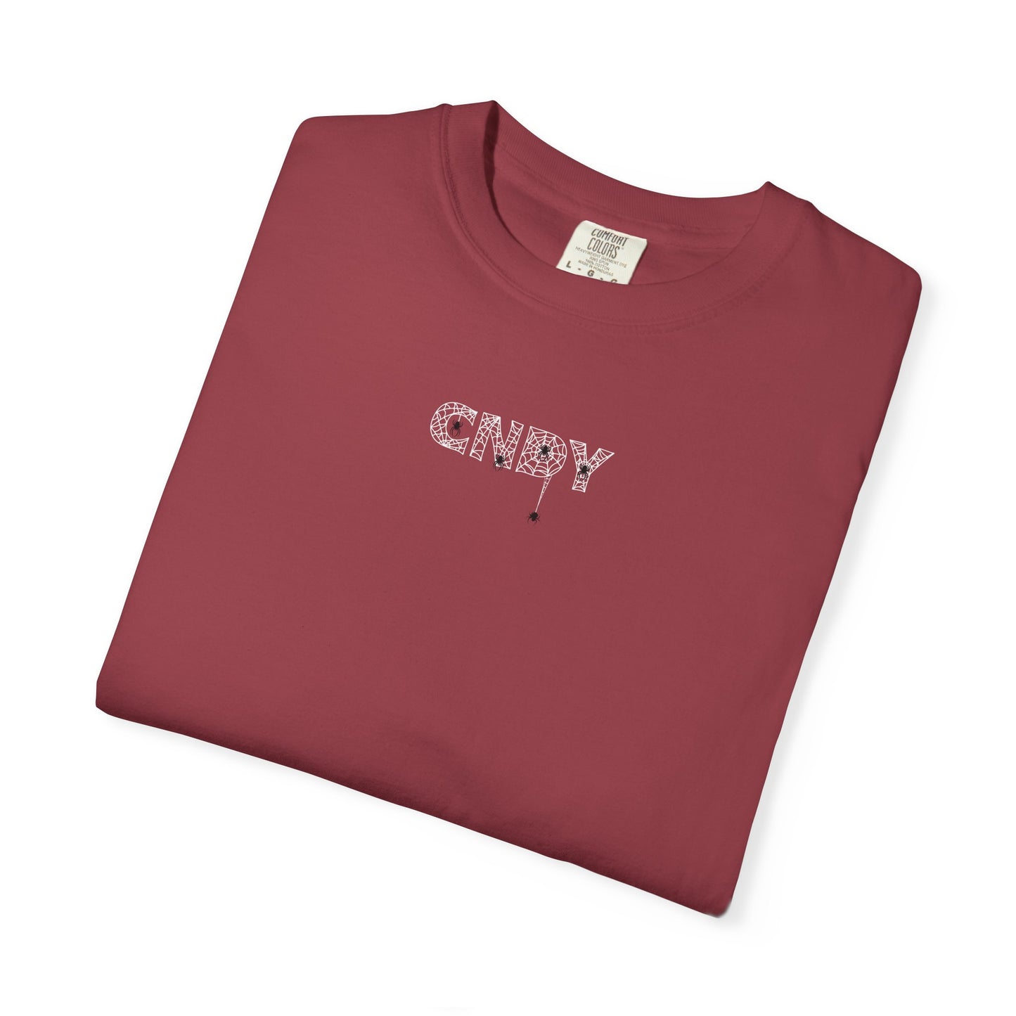 HANG IN THERE (tee)