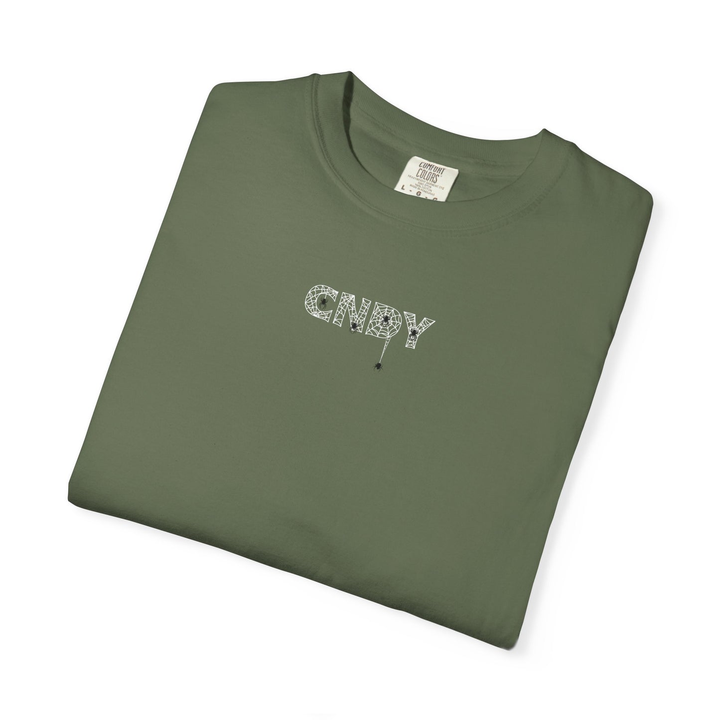HANG IN THERE (tee)