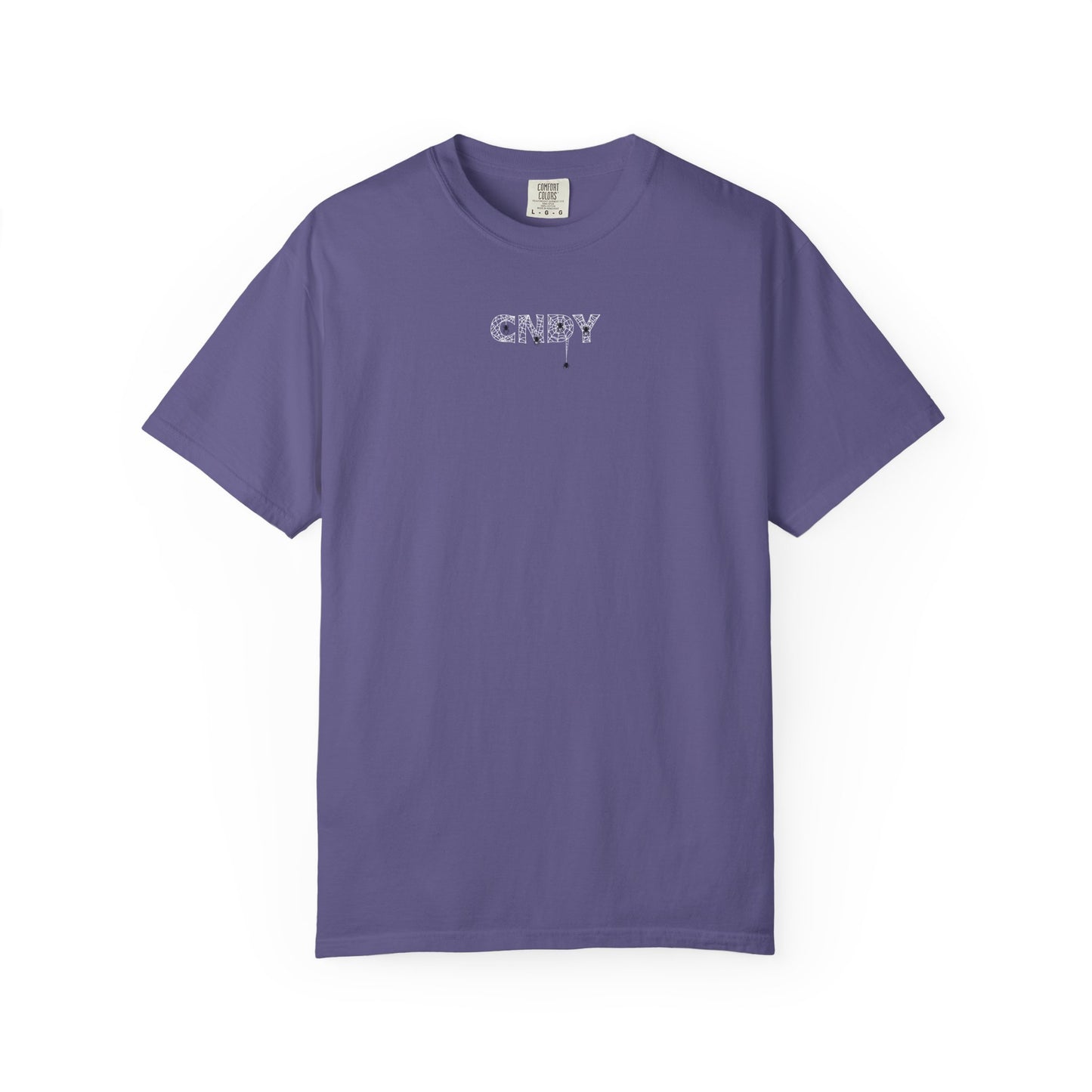 HANG IN THERE (tee)
