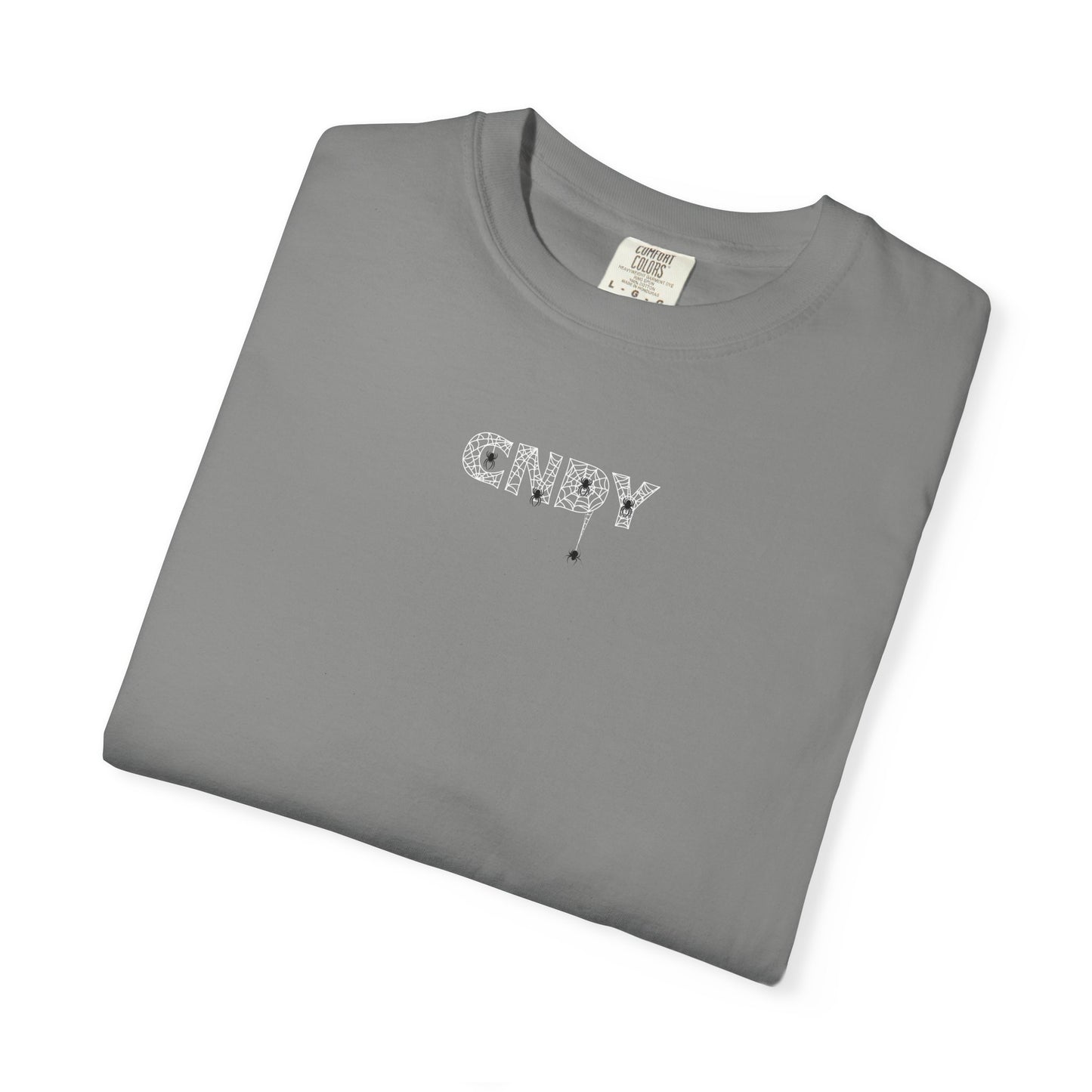 HANG IN THERE (tee)