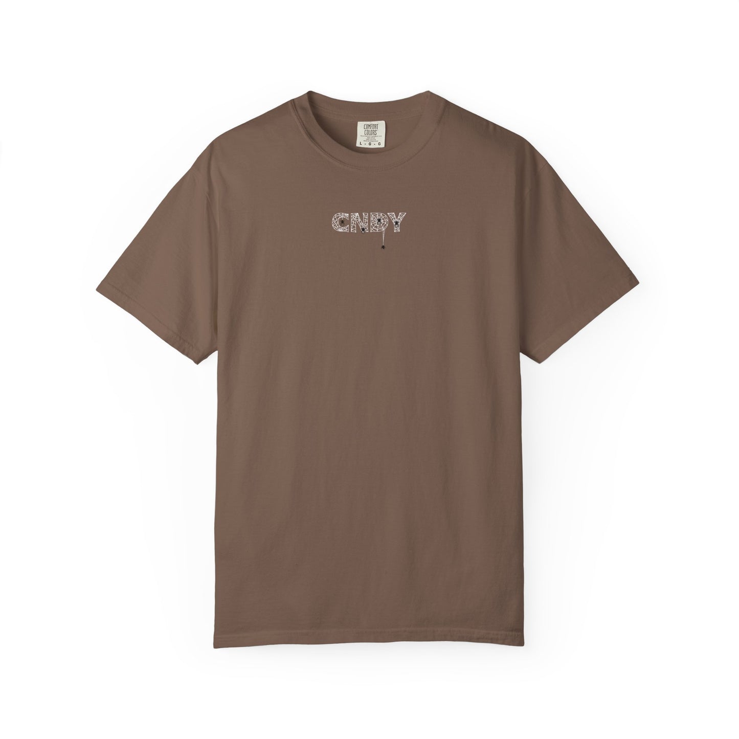 HANG IN THERE (tee)