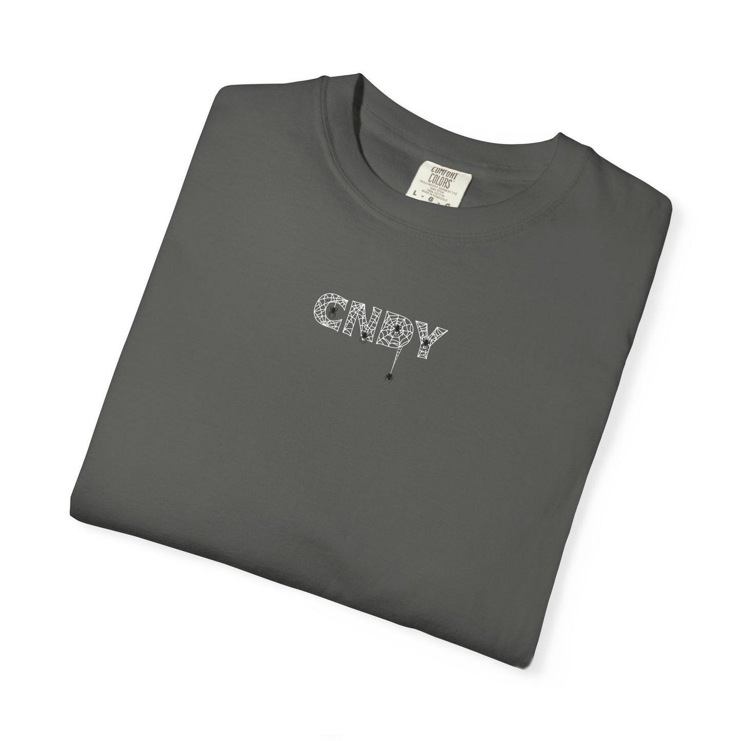 HANG IN THERE (tee)