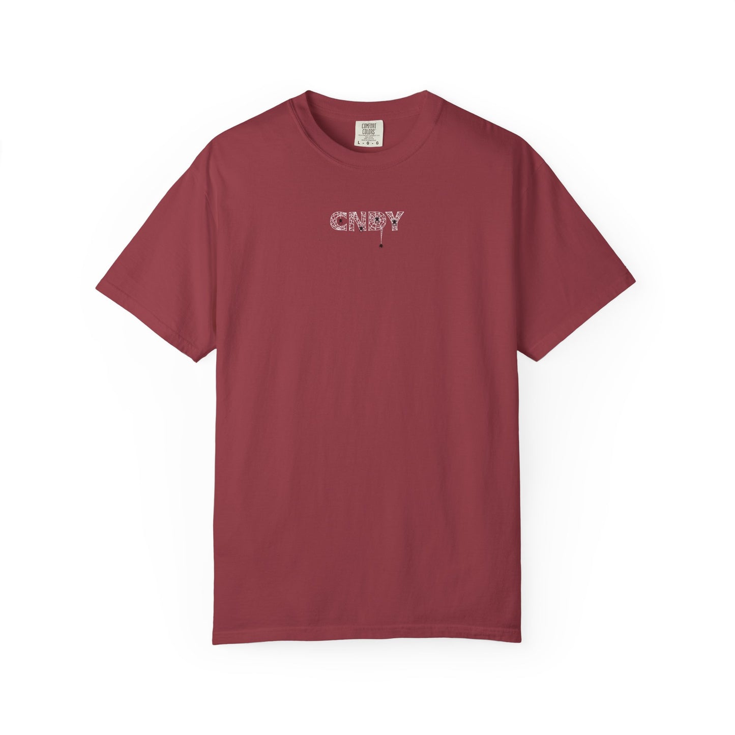 HANG IN THERE (tee)