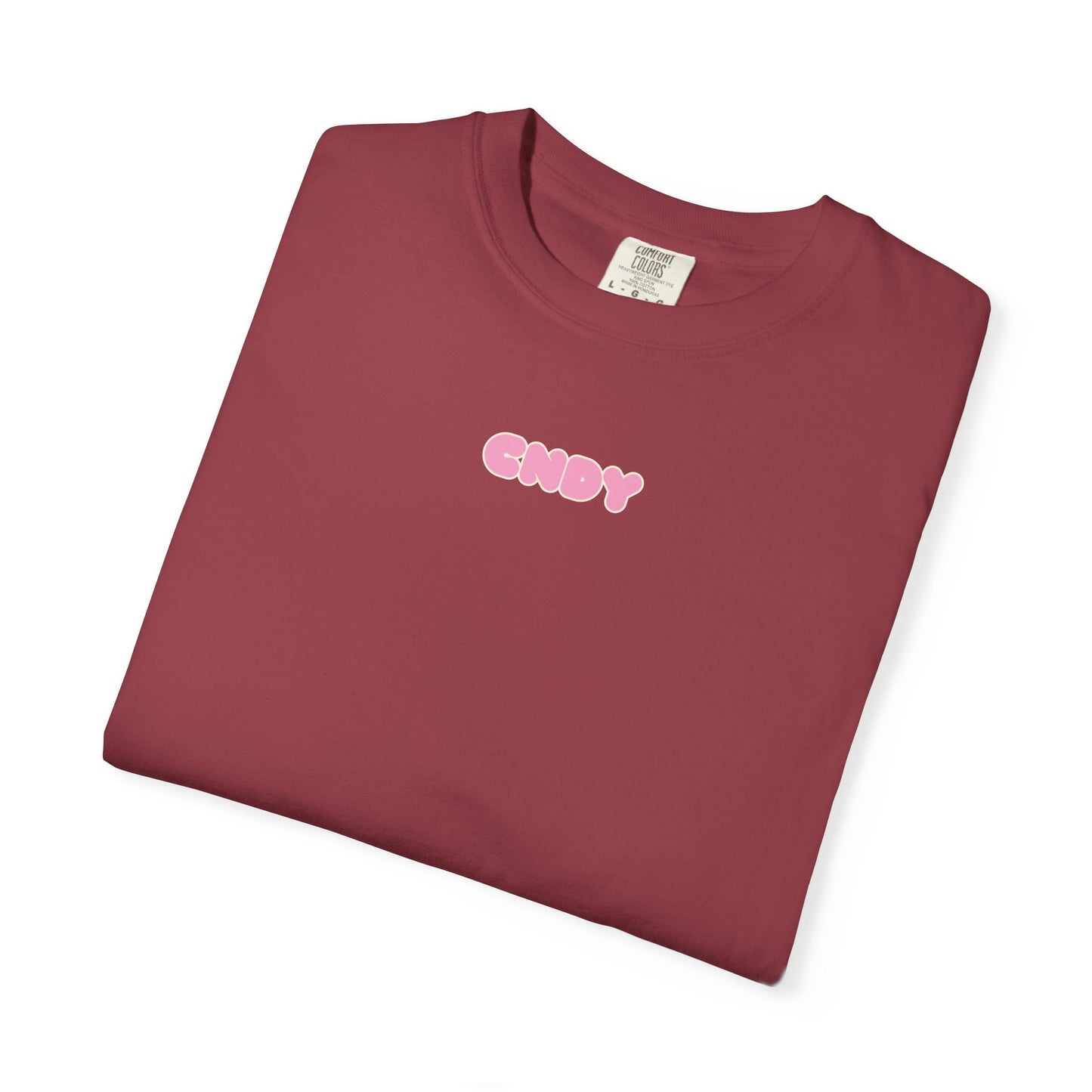 PINK ROSES (tee)