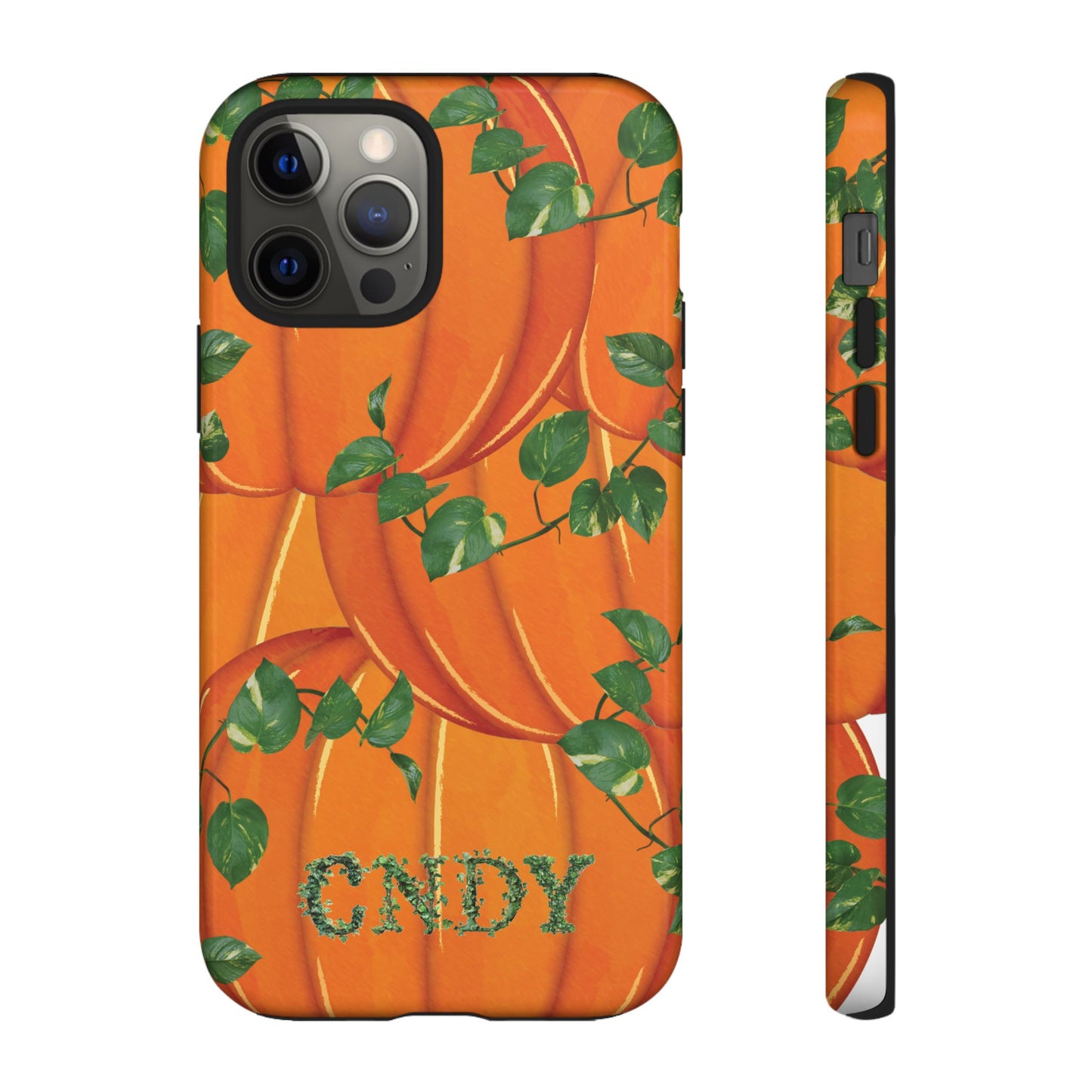 PUMPKIN (iphone case)