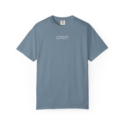 HANG IN THERE (tee)