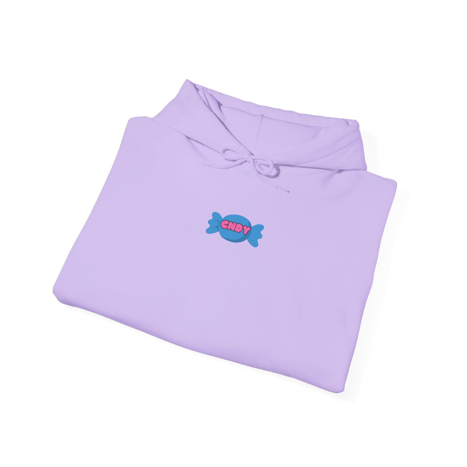I WANT CNDY (hoodie) - CNDY