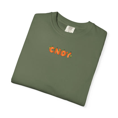 HEY, PUMPKIN (tee)