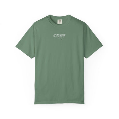 HANG IN THERE (tee)