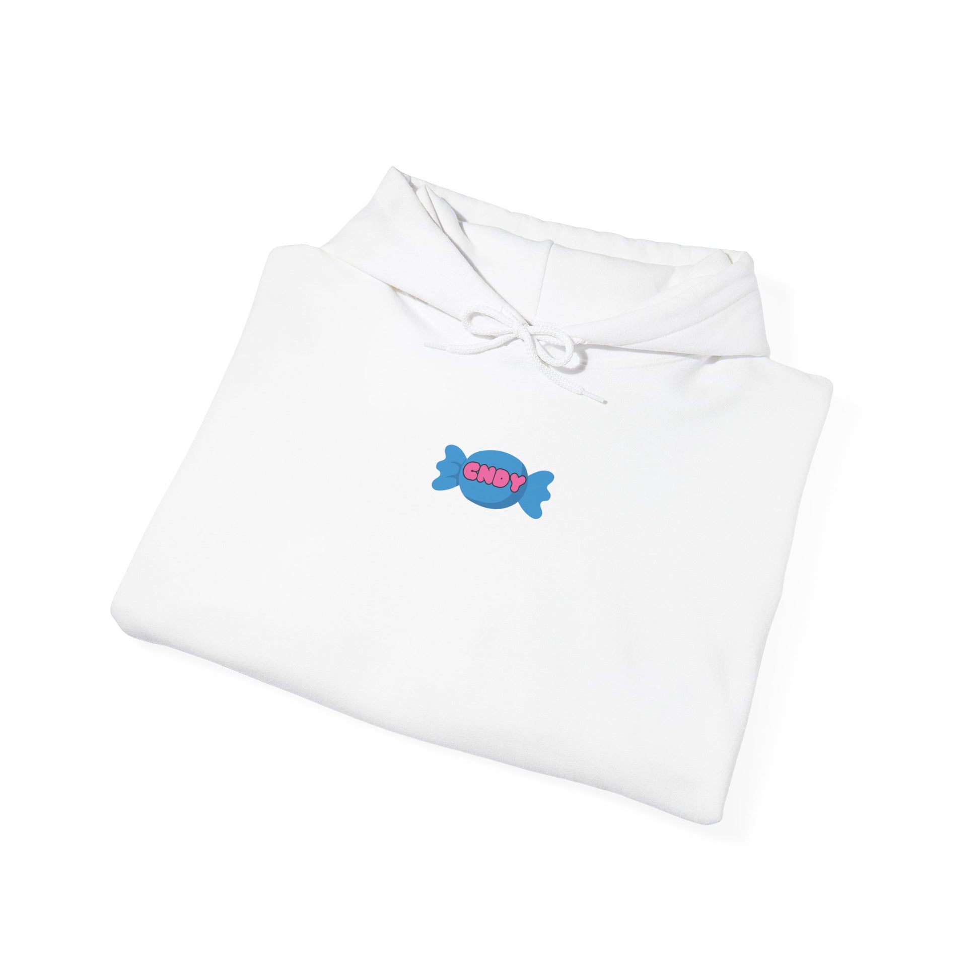 I WANT CNDY (hoodie) - CNDY