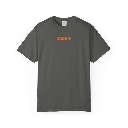 HEY, PUMPKIN (tee)