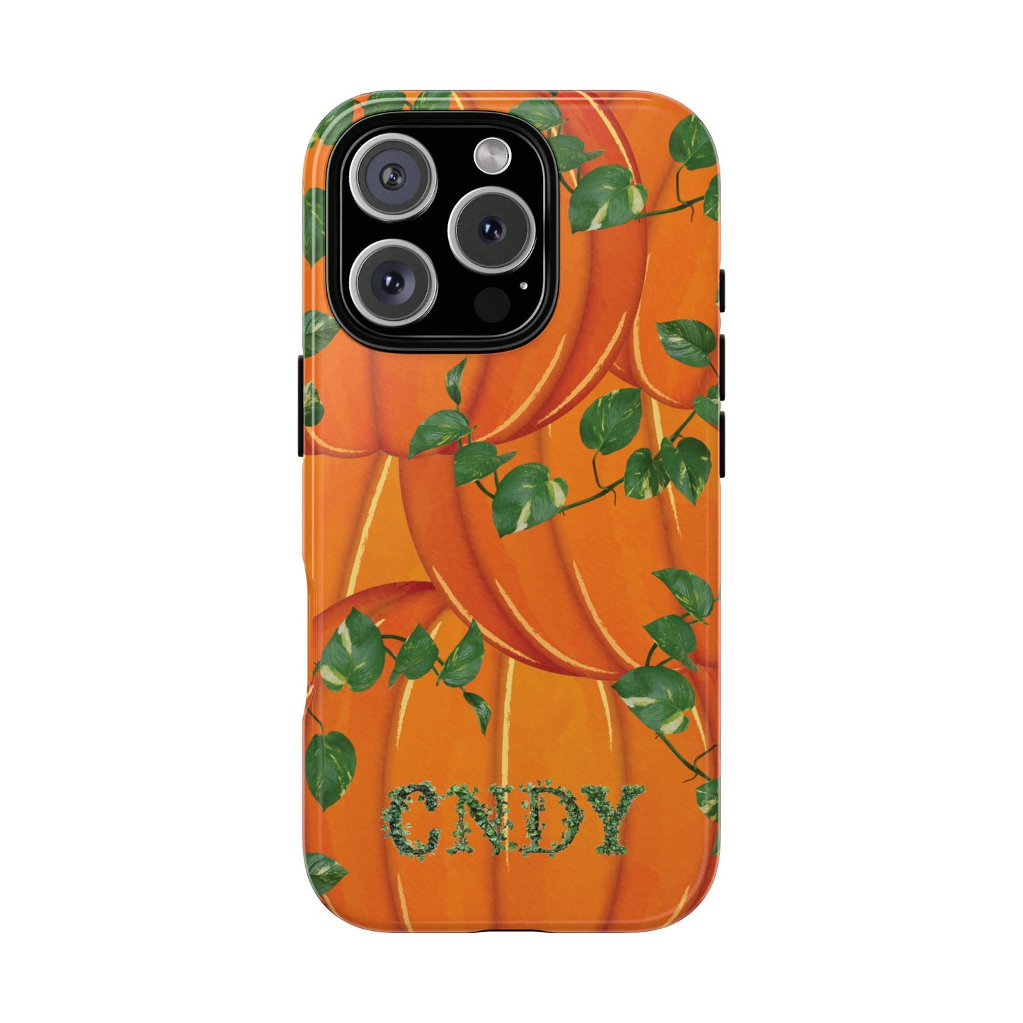 PUMPKIN (iphone case)