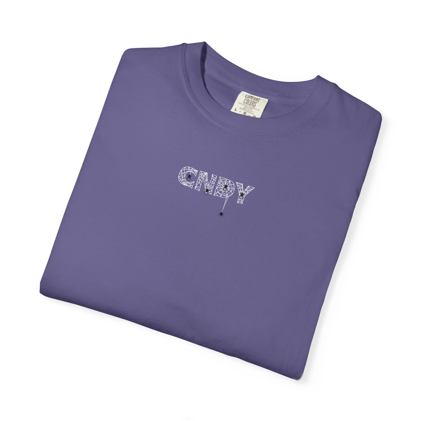 HANG IN THERE (tee)