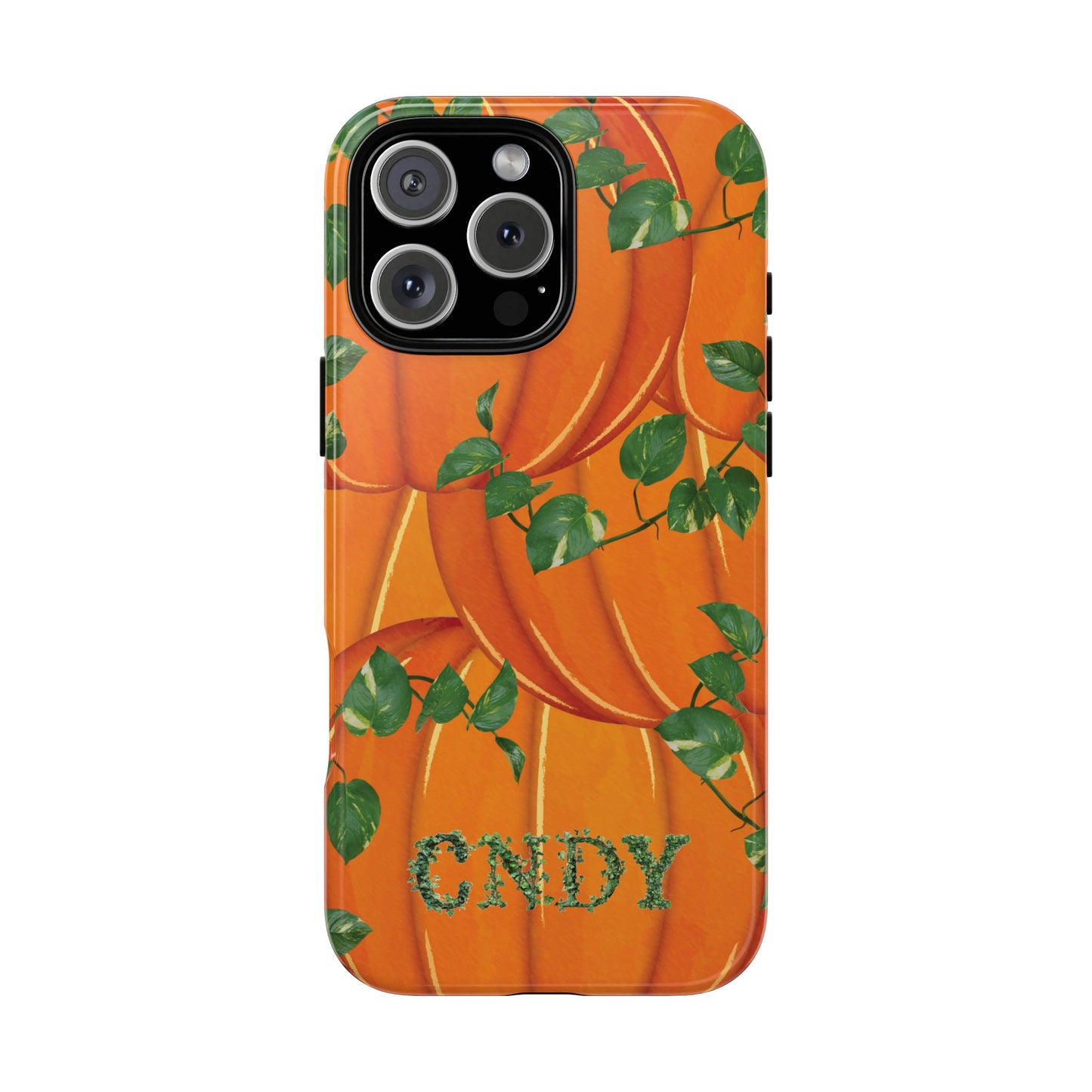 PUMPKIN (iphone case)