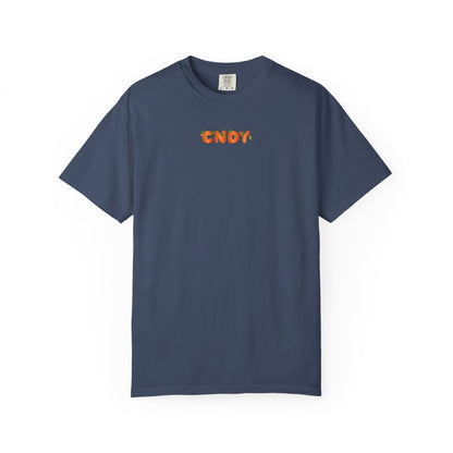 HEY, PUMPKIN (tee)