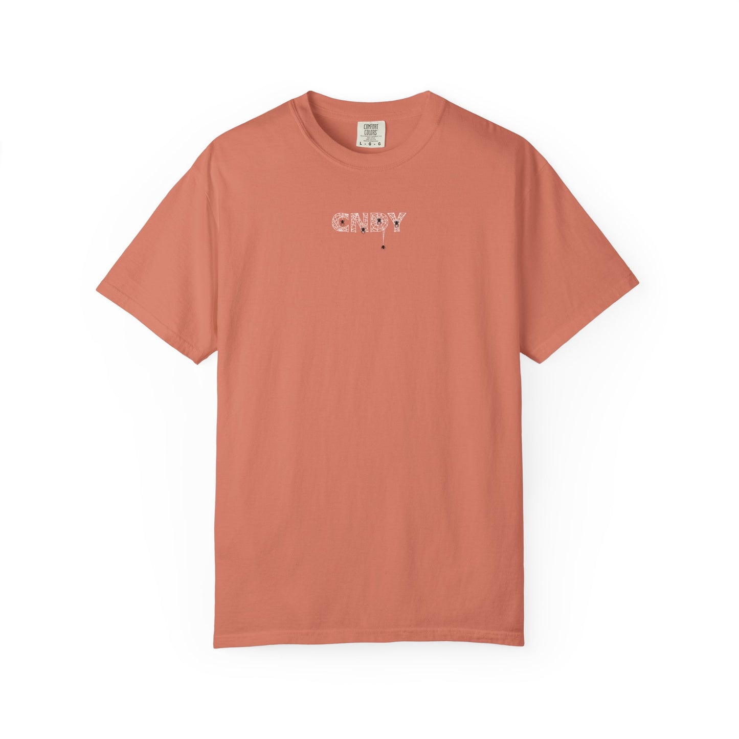 HANG IN THERE (tee)