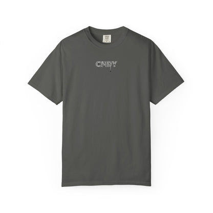 HANG IN THERE (tee)