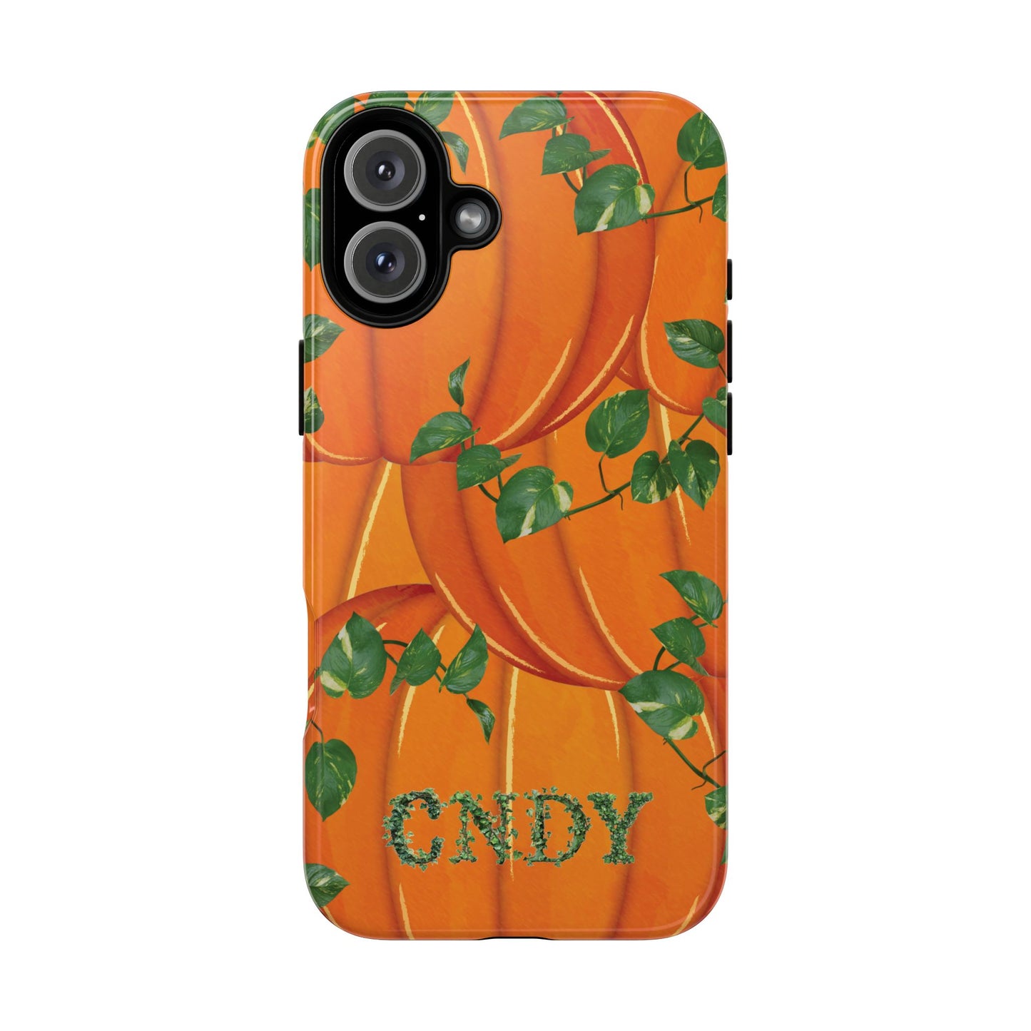 PUMPKIN (iphone case)