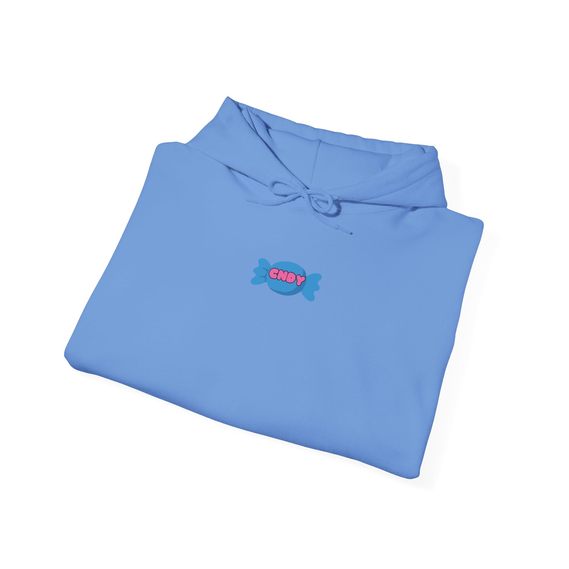 I WANT CNDY (hoodie) - CNDY