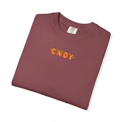 HEY, PUMPKIN (tee)