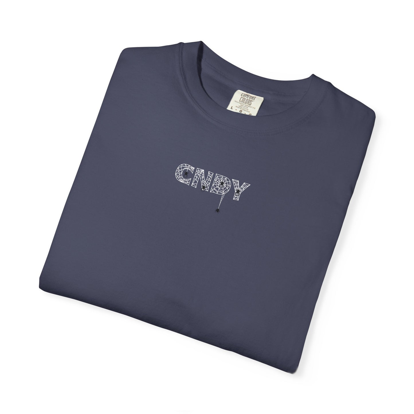 HANG IN THERE (tee)