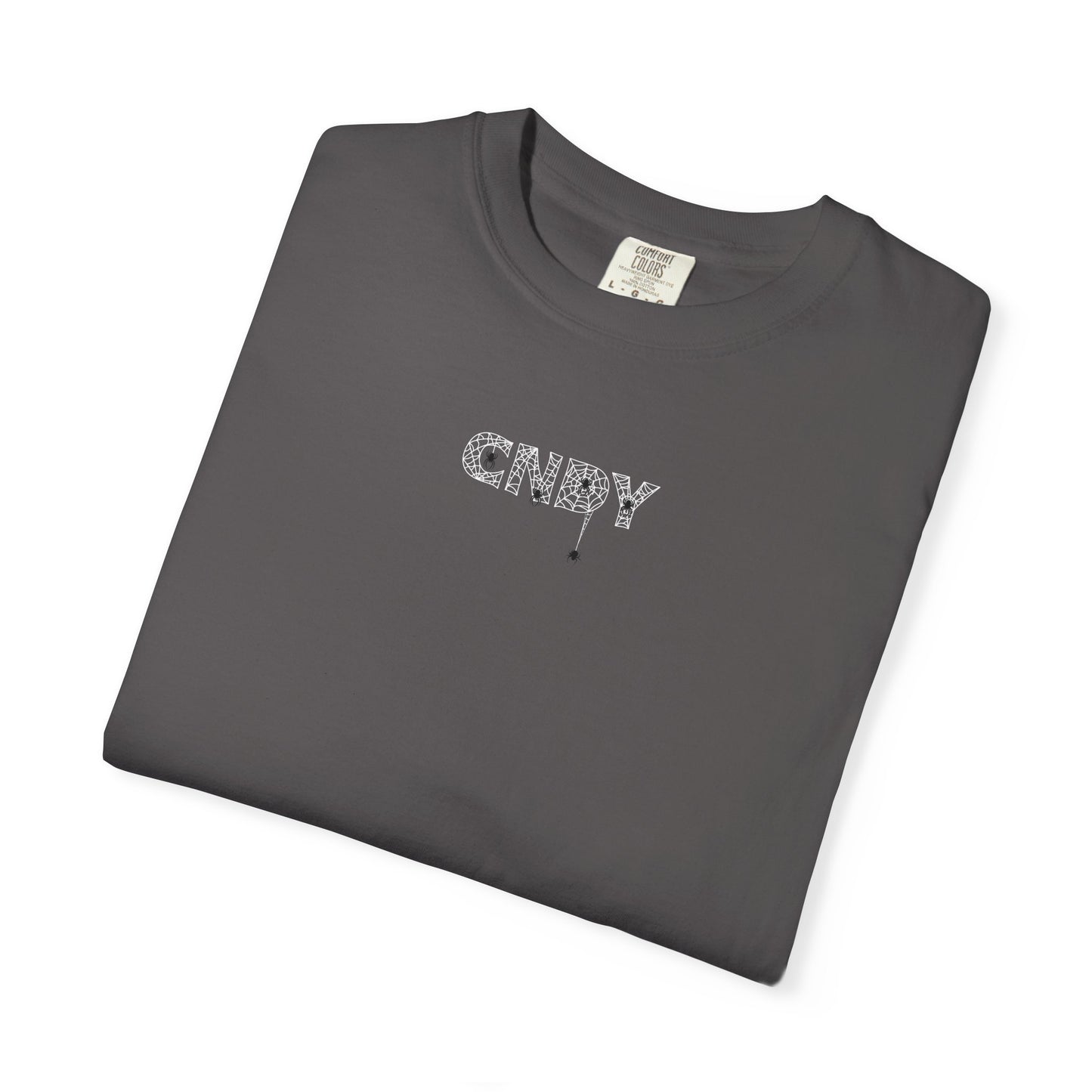 HANG IN THERE (tee)