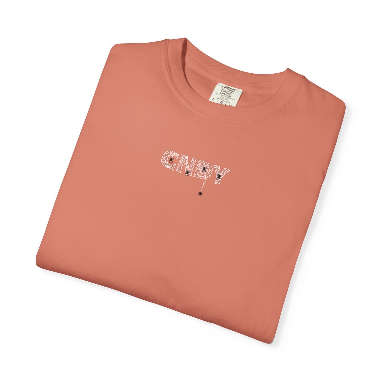 HANG IN THERE (tee)