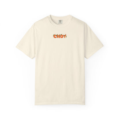 HEY, PUMPKIN (tee)