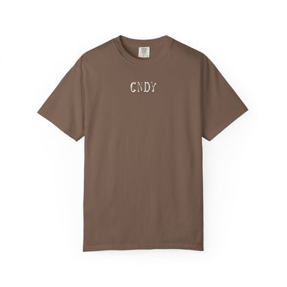 GOT NO GUTS (tee)