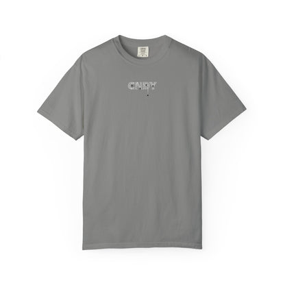 HANG IN THERE (tee)