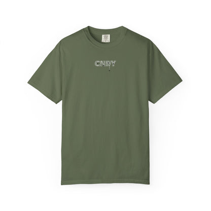 HANG IN THERE (tee)