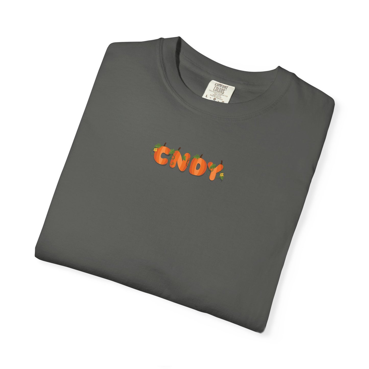 HEY, PUMPKIN (tee)