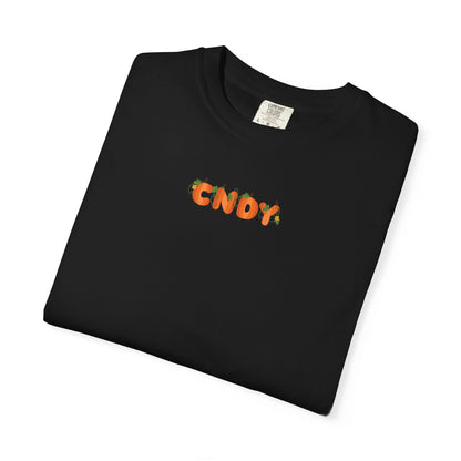 HEY, PUMPKIN (tee)