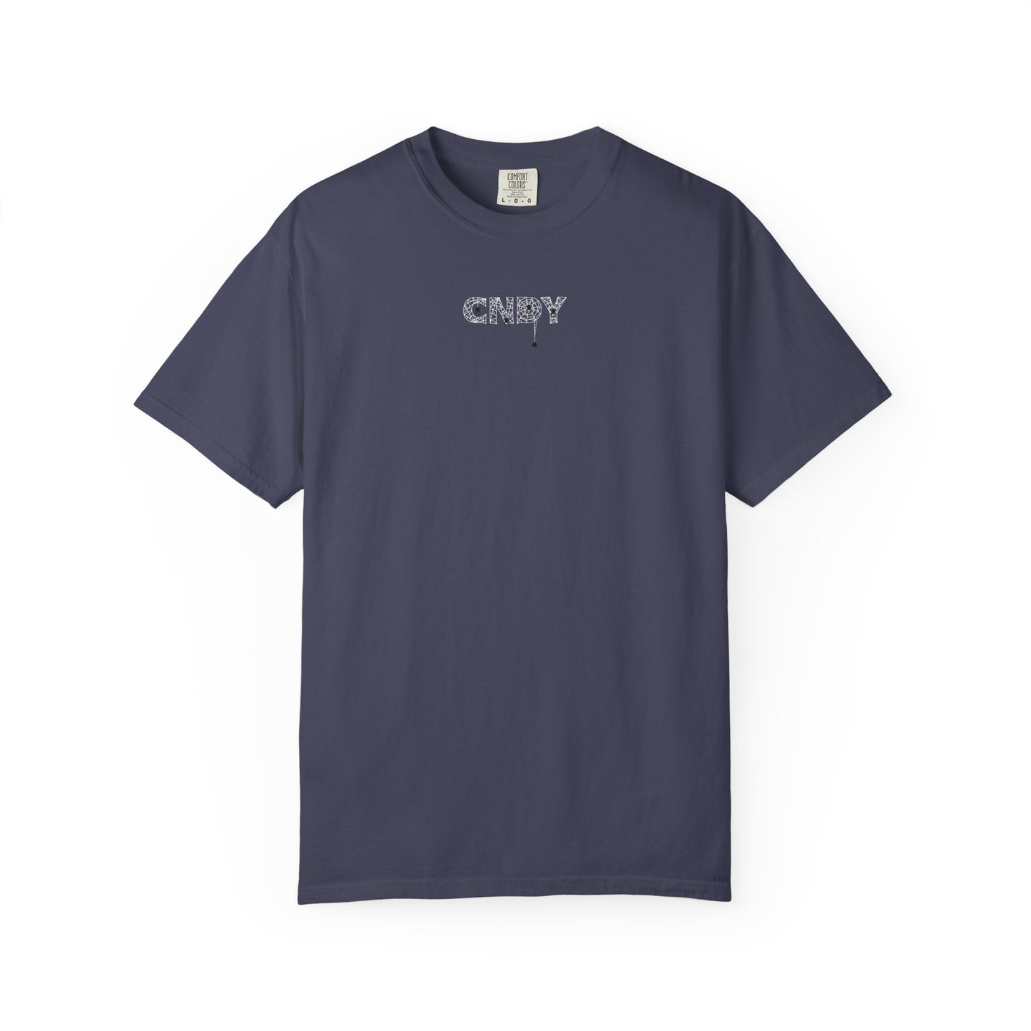 HANG IN THERE (tee)