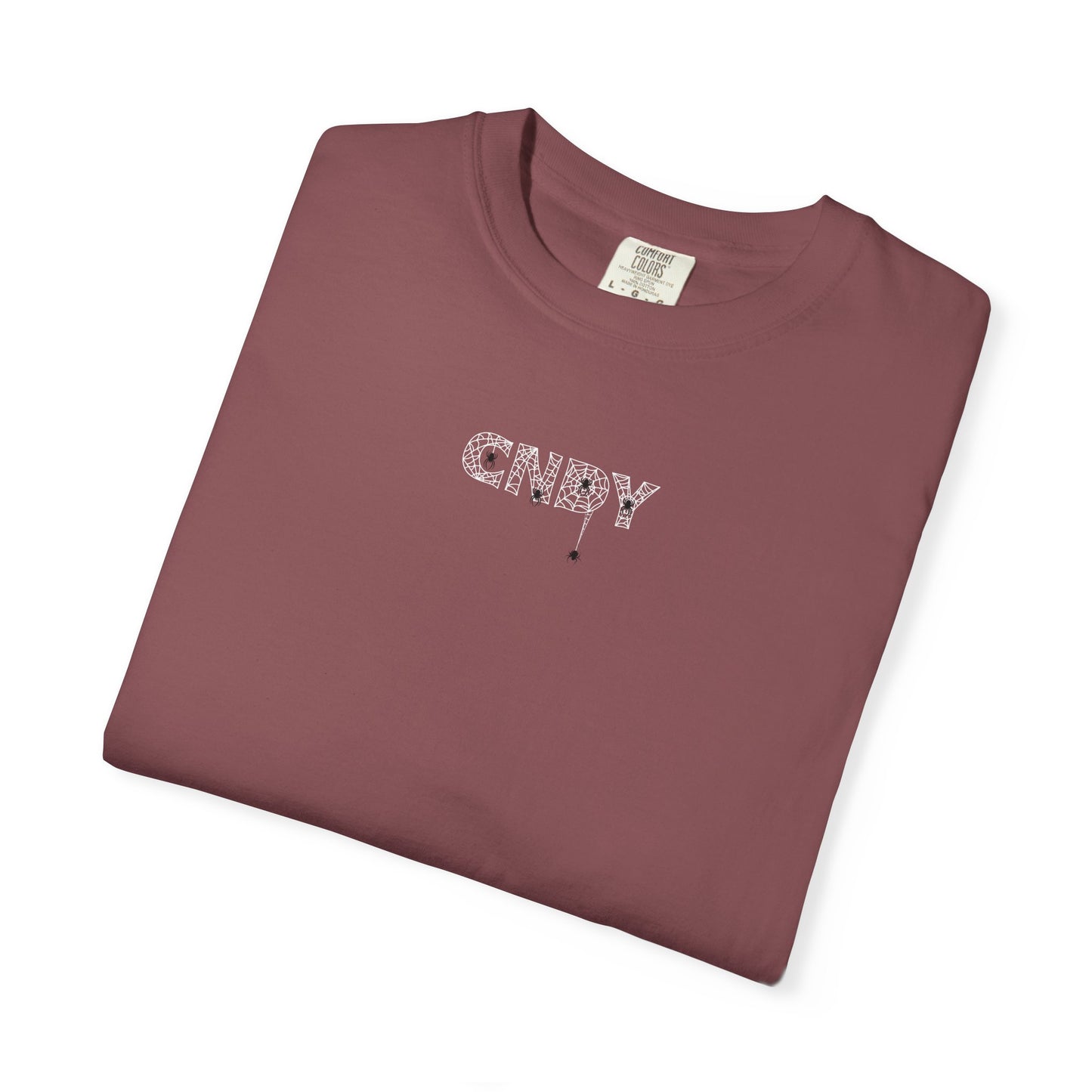 HANG IN THERE (tee)