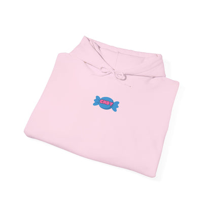 I WANT CNDY (hoodie) - CNDY